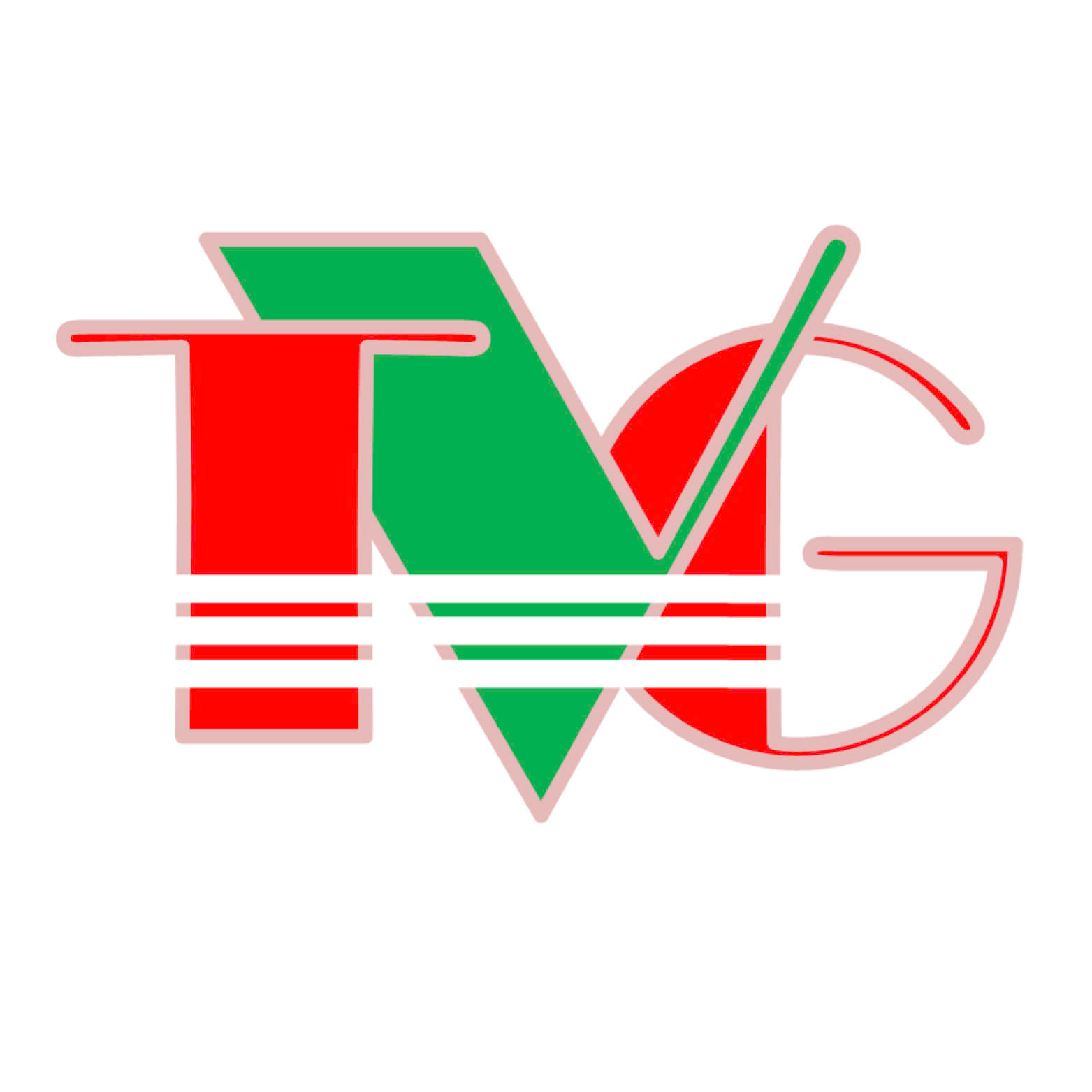 CÔNG TY TNHH THÁI VINH GIA 